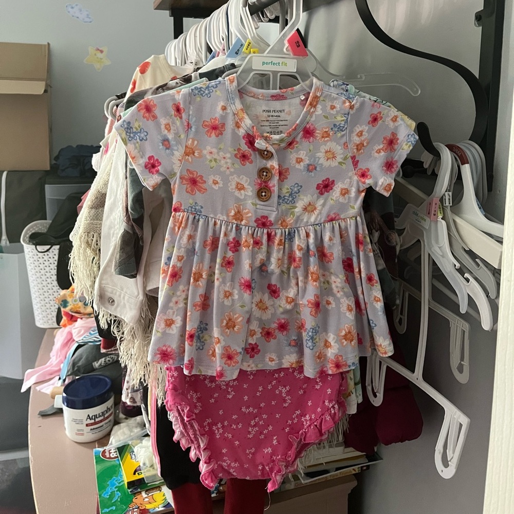 Posh peanut 12-18 mo bummie